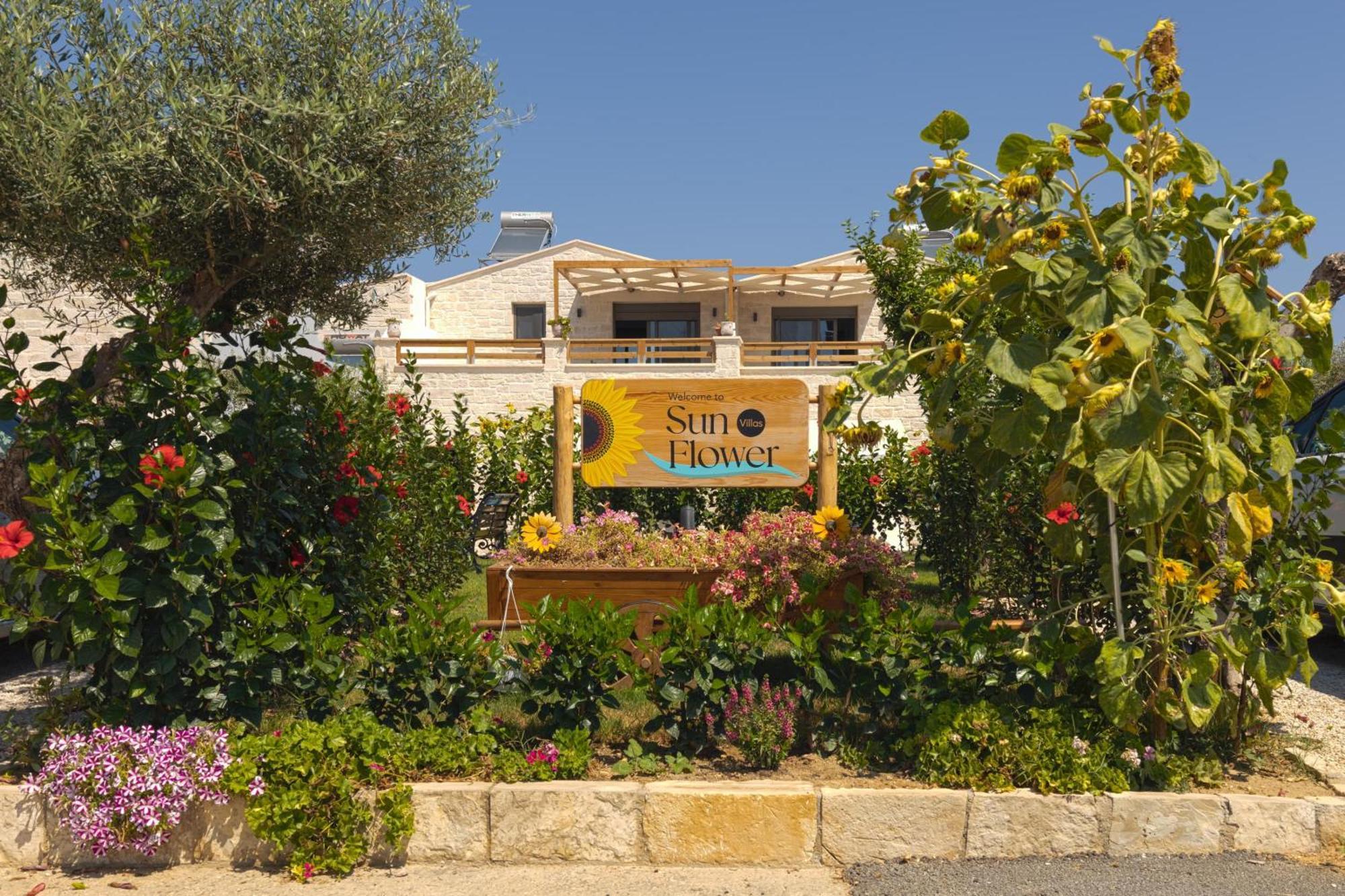 Sun Flower Villas With Sea View Agia Marina Zewnętrze zdjęcie